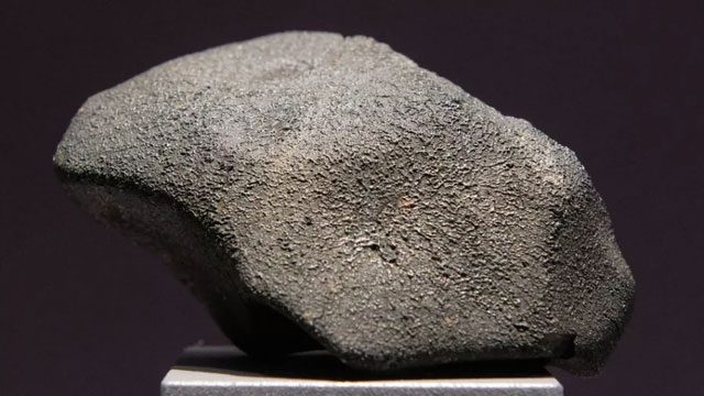 The Murchison meteorite contains essential components of life.