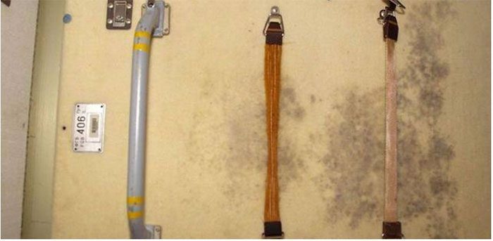 Many devices on the space station have been attacked by bacteria and mold.