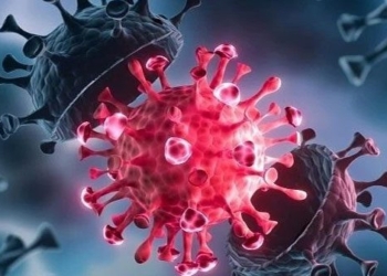 this is the factor that makes a person able to be infected with both delta and omicron at the same time 119422