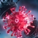 this is the factor that makes a person able to be infected with both delta and omicron at the same time 119422