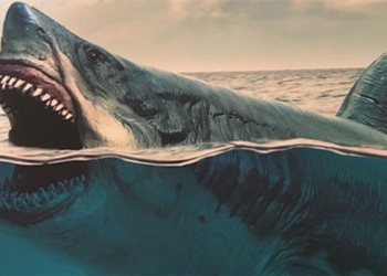 this type of fish is a familiar drug to the mythical megalodon 120831