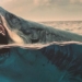 this type of fish is a familiar drug to the mythical megalodon 120831