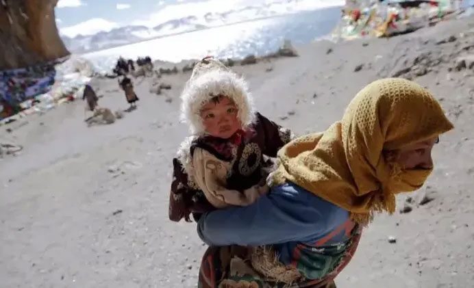 Tibetans have a genetic tendency to produce more oxygen-carrying hemoglobin.