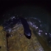 throwing a rod at night a man catches a large monster dragging the long snake terrifying this 118642