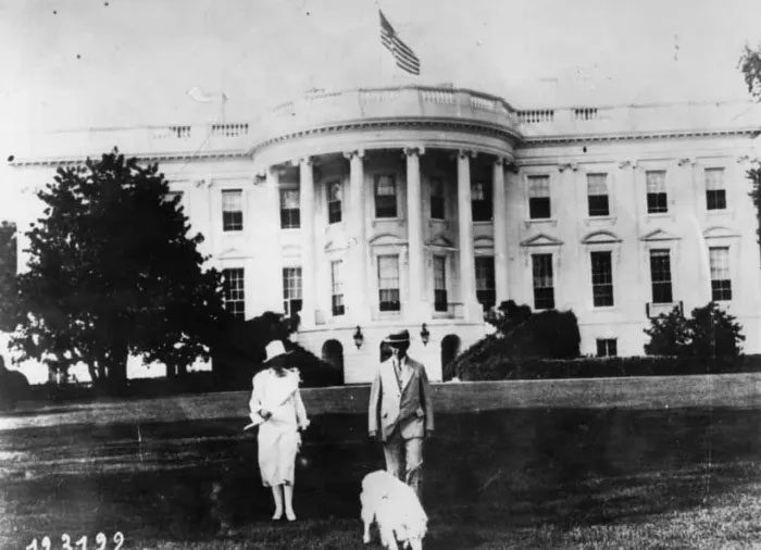 President Calvin Coolidge owned various pets