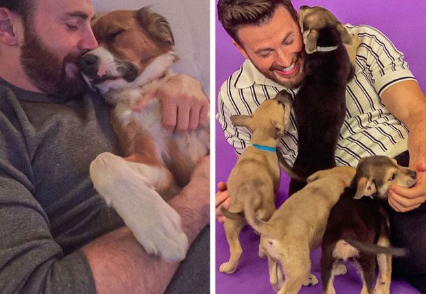 More People Owning Pets