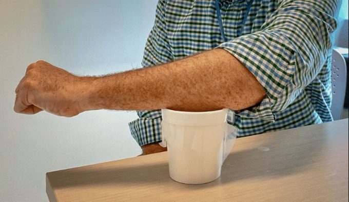 Testing mosquitoes carrying the modified virus biting volunteers' arms