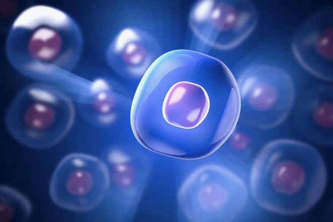 The new drug can mimic glucose hunger at the cellular level.