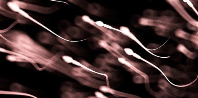 Sperm counts in men in the 21st century continue to decline at an alarming rate.