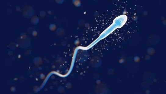 In the future, the birth rate may change for the worse.