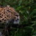 today these types of animals will be extinct 123114