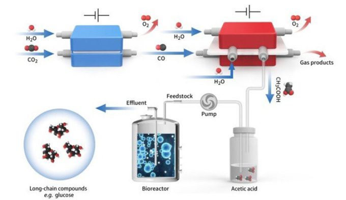 tong hop glucose tu co2