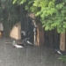 tonight northern region enters a chain of heavy rain 122135