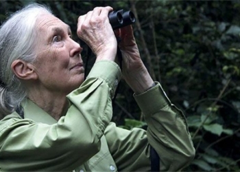 top 5 female scientists changing the world 119250