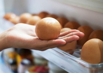 top 5 mistakes when using refrigerators in summer almost all families encounter 121239