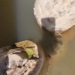 tran anaconda unexpectedly phi spirits escape water need man 121908