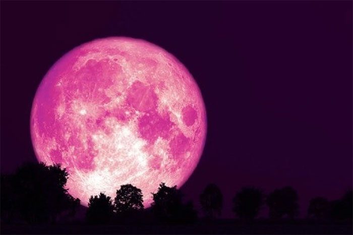 When this phenomenon occurs, the Moon will appear very round and shine brightly for three days around the peak time.