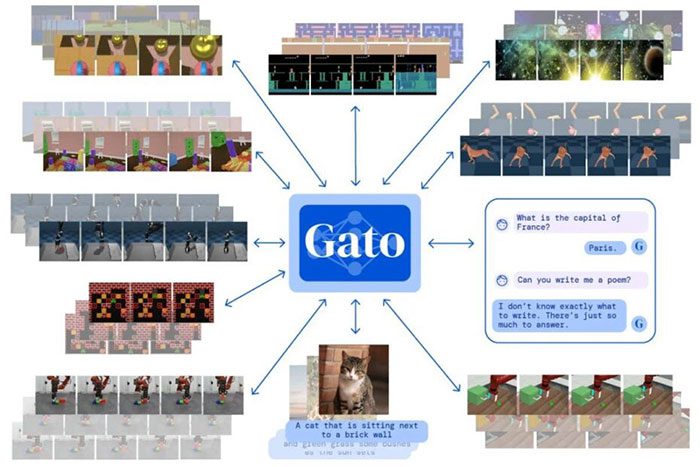 tri tue nhan tao gato