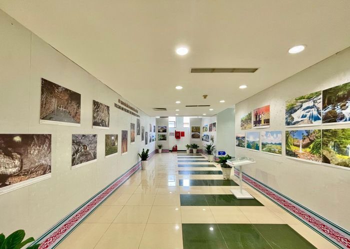 Exhibition display space