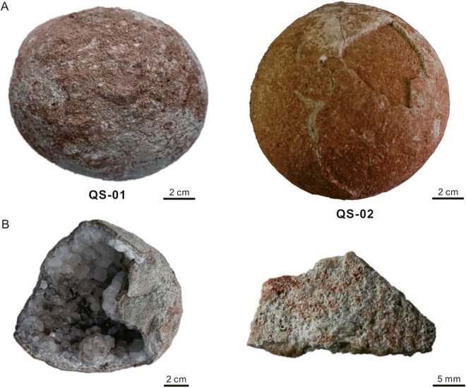 Two dinosaur eggs recently discovered by Chinese archaeologists.