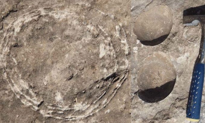Fossilized egg within an egg (left) and two other dinosaur eggs (right) found in India.