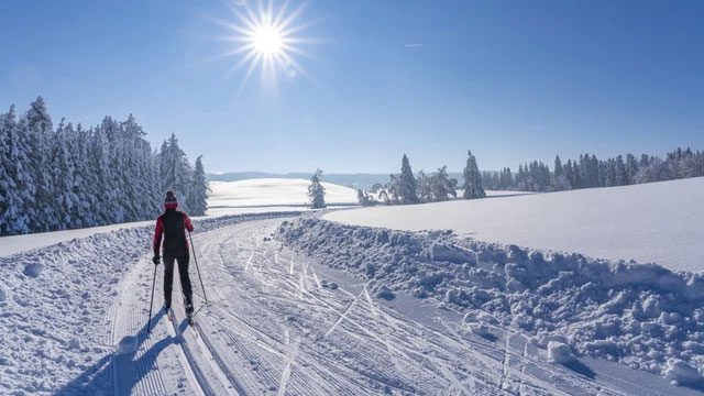 Cross-country skiing requires athletes to endure long distances in harsh weather.
