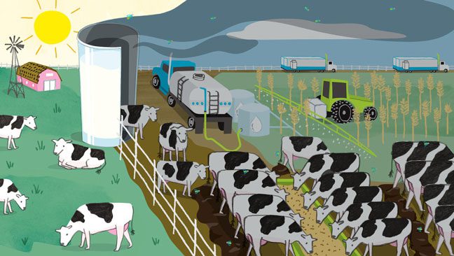 What is a Carbon Footprint?