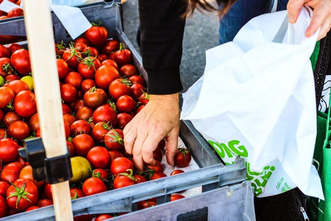 About Paper and Plastic Bags