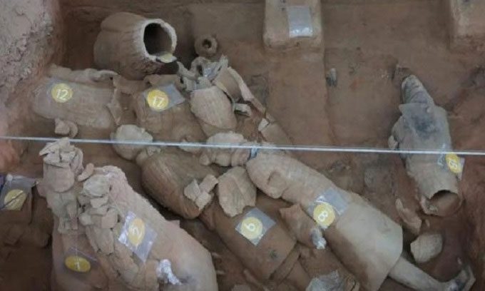 Number of newly discovered terracotta figures in Pit 1.