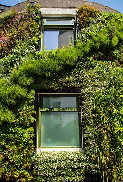 The fully vegetated wall of the Sustainability Center building.