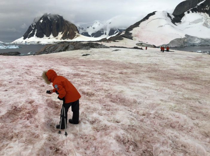 Watermelon snow in Antarctica in April