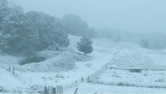 Snowfall at a farm in Sunny Corner, New South Wales, Australia.
