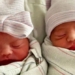 twin births into two different years 2021 and 2022 118110
