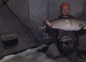 two cats holding a light in the cold night to fish on the ice on the second day of the 119629 native fish