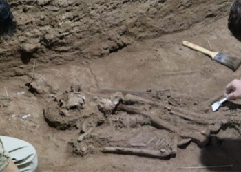 two columns create big historical turn in indonesia surgery shock 31 000 years ago 122839