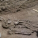 two columns create big historical turn in indonesia surgery shock 31 000 years ago 122839