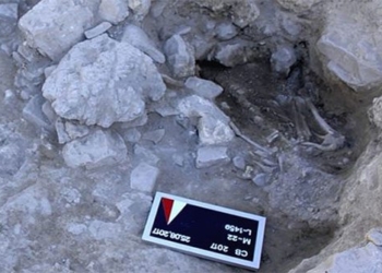 two columns victims died in the battle of the soul 3600 years ago 117987