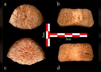 two hundred thousand people 1 5 million years ago unclear type history changed 118733