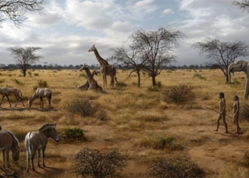 two million years ago a dish transformed into a human shaped garden 118526