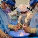two people die which can be grafted large heart 121722