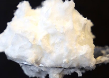 type of protein from mushrooms can replace egg white 118207