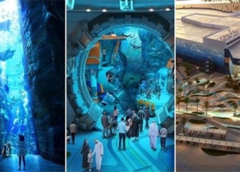 uae builds largest beach park in the world 118111