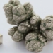 understanding nickel the precious metal that is rare but not rare enough to cause global supply chain disruptions 119463