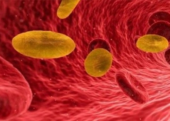 understanding the rare yellow blood type and the rarest people in the world only a few dozen people have it