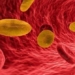 understanding the rare yellow blood type and the rarest people in the world only a few dozen people have it