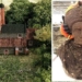 unexpected archaeologists discover secrets of the forgotten poet nearly 1 000 years ago 118474