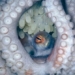 unexpected discovery of super rare sea turtle during diving trip 122795