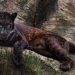 unexpected facts about the source of inspiration for the character black panther 124140