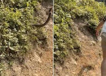 unexpected moment suddenly attacks group of climbers 119736