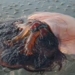 unexpected viral docs on social media 122292